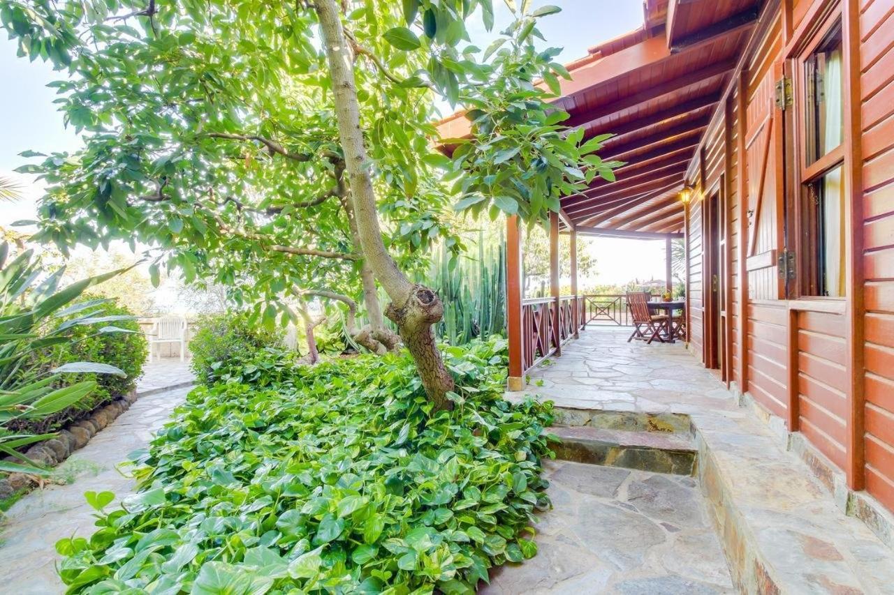 Villa Mimosa Arafo 外观 照片